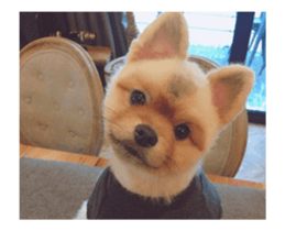 Moca & Dasom / Lovely friend. sticker #15806615