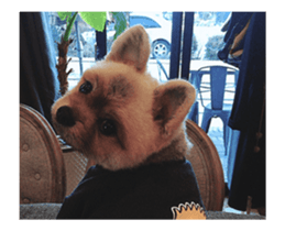 Moca & Dasom / Lovely friend. sticker #15806616