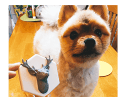 Moca & Dasom / Lovely friend. sticker #15806617