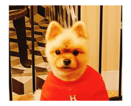 Moca & Dasom / Lovely friend. sticker #15806618