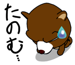 a creepy look bear sticker #15807028