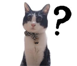 Komachi of a Mask and Mant cat sticker #15808880