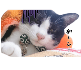 Komachi of a Mask and Mant cat sticker #15808884