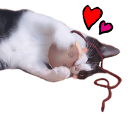 Komachi of a Mask and Mant cat sticker #15808890