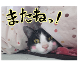 Komachi of a Mask and Mant cat sticker #15808891