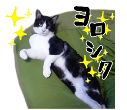 Komachi of a Mask and Mant cat sticker #15808893