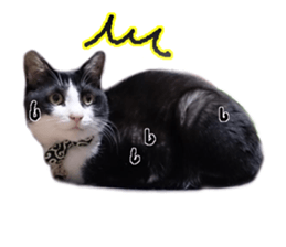 Komachi of a Mask and Mant cat sticker #15808895