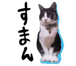 Komachi of a Mask and Mant cat sticker #15808904