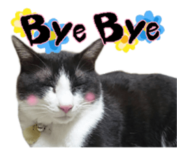 Komachi of a Mask and Mant cat sticker #15808908