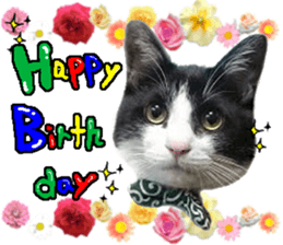 Komachi of a Mask and Mant cat sticker #15808911