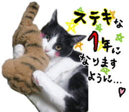 Komachi of a Mask and Mant cat sticker #15808912