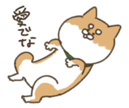 shibainu sticker sticker #15810048