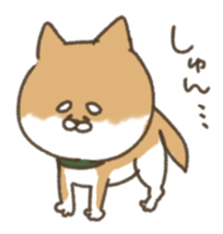 shibainu sticker sticker #15810049
