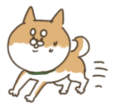 shibainu sticker sticker #15810050