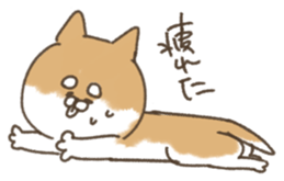 shibainu sticker sticker #15810052