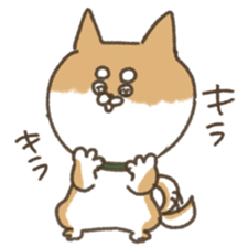 shibainu sticker sticker #15810055