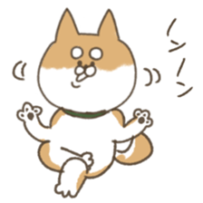 shibainu sticker sticker #15810063