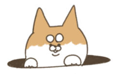 shibainu sticker sticker #15810071
