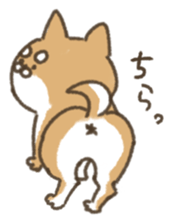shibainu sticker sticker #15810076