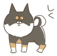 shibainu sticker sticker #15810079