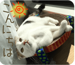 mugi325channel02 sticker #15810243