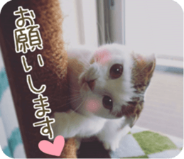 mugi325channel02 sticker #15810250