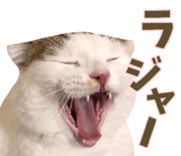 mugi325channel02 sticker #15810251