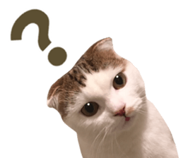 mugi325channel02 sticker #15810254