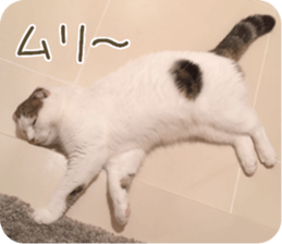 mugi325channel02 sticker #15810256