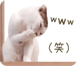 mugi325channel02 sticker #15810257