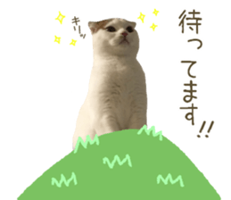 mugi325channel02 sticker #15810258