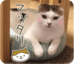 mugi325channel02 sticker #15810259