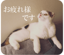 mugi325channel02 sticker #15810260