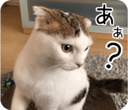 mugi325channel02 sticker #15810263