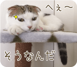 mugi325channel02 sticker #15810264