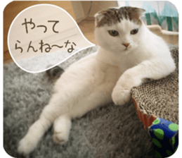 mugi325channel02 sticker #15810265