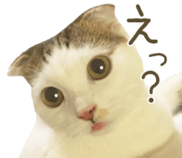 mugi325channel02 sticker #15810266