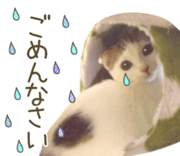 mugi325channel02 sticker #15810269