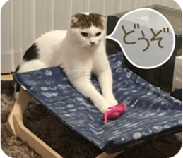 mugi325channel02 sticker #15810271