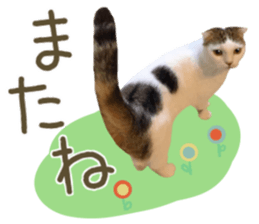 mugi325channel02 sticker #15810273