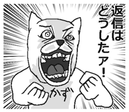 Kazu name sticker! sticker #15810886