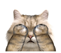 DramaCatz 2 sticker #15811229