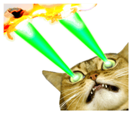 DramaCatz 2 sticker #15811233