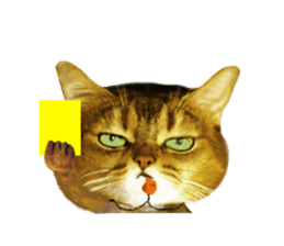 DramaCatz 2 sticker #15811235