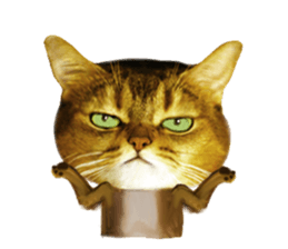 DramaCatz 2 sticker #15811237