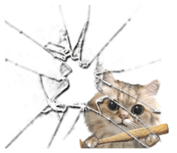 DramaCatz 2 sticker #15811239