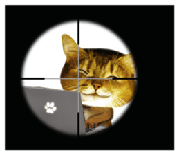 DramaCatz 2 sticker #15811242