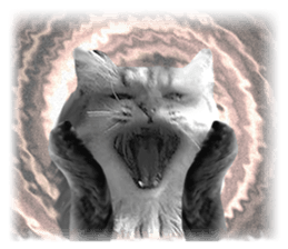 DramaCatz 2 sticker #15811244