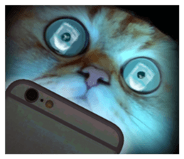 DramaCatz 2 sticker #15811245