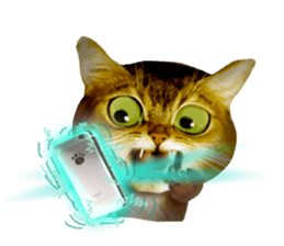 DramaCatz 2 sticker #15811247